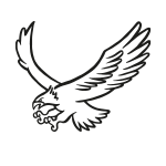 Icon - Nordic Falcons